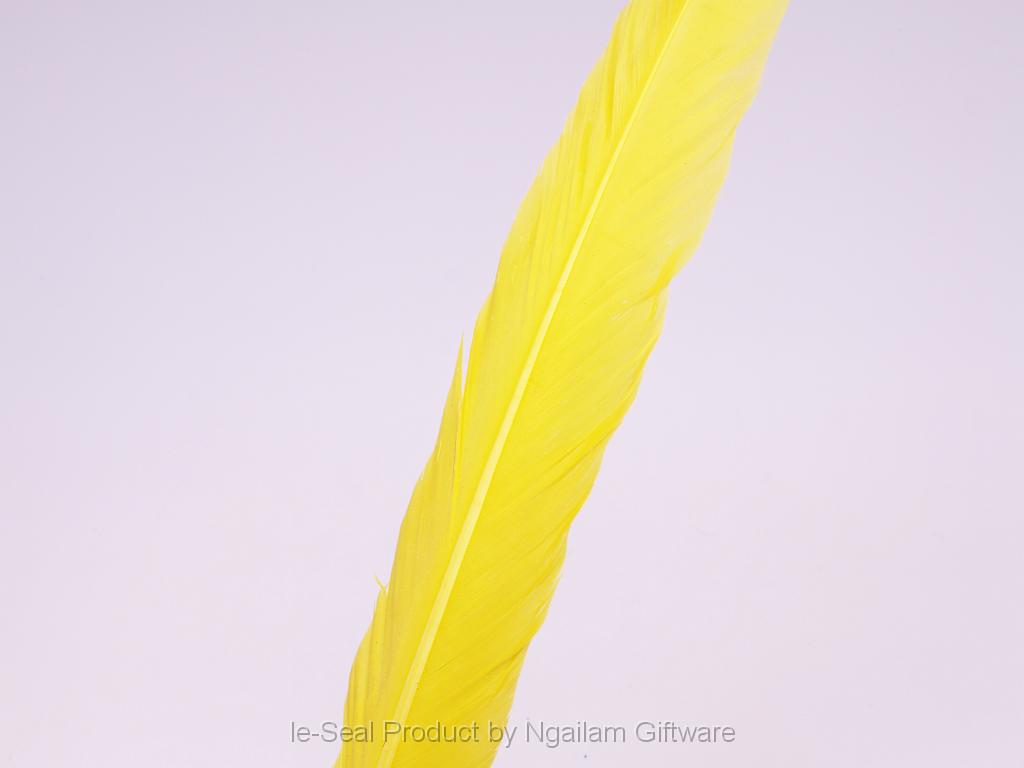 Feather color - Yellow.JPG